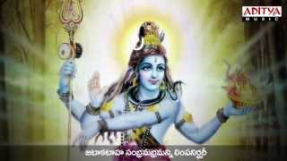 Shivathandavam | Maha Shivarathri Special ......